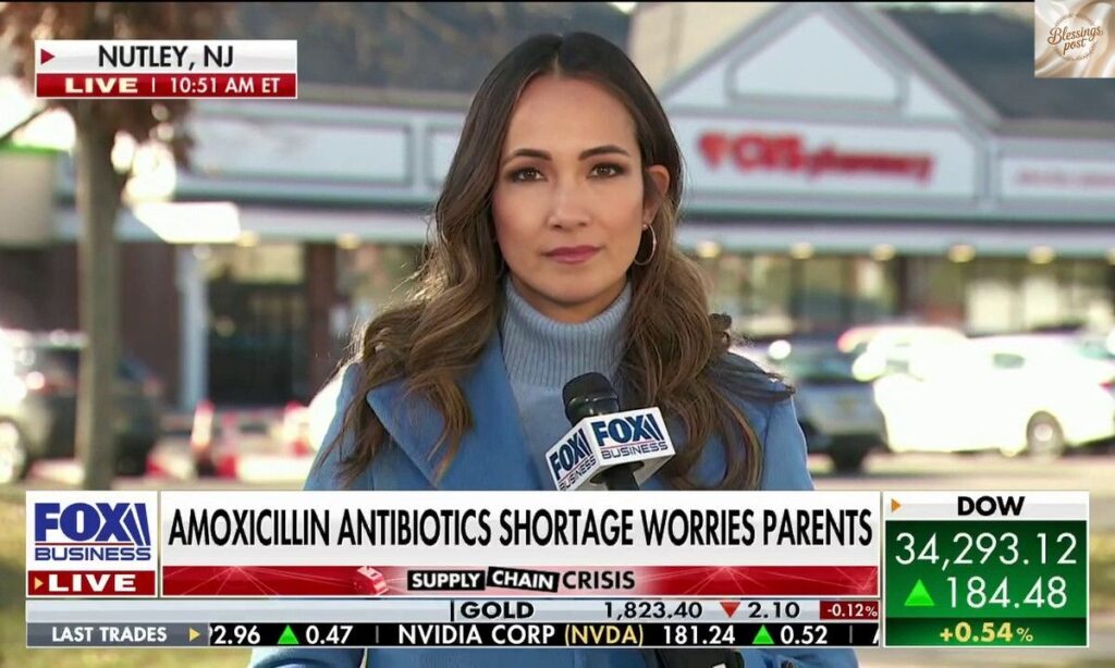 Lydia Hu Married: FBN Star’s Age, Net Worth & Family Life