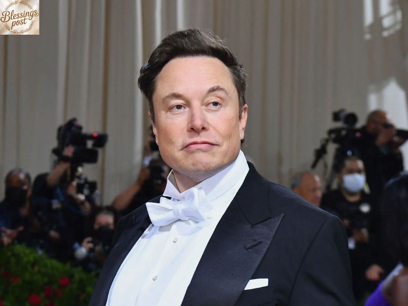 Errol Musk Net Worth 2025 Wealth Breakdown and Assets