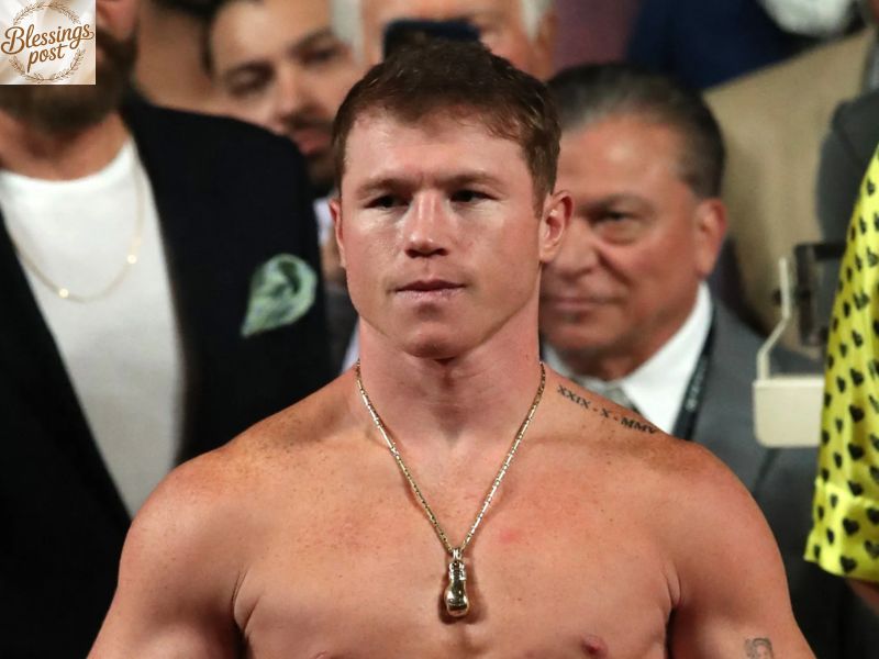 Future Net Worth Growth and Upcoming Fights